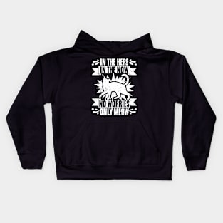 Funny In The Here In The Now No Worries Only Meow Cat Lovers Kids Hoodie